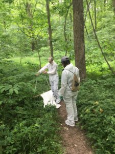 IN High School Students tick collecting in Indiana 2018